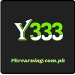 Y333 Game
