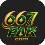 667pak game